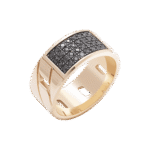 Classic Ring with Fancy Black Diamond