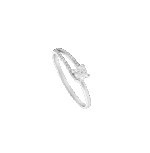 4435536921.png