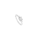 4435741595.png