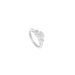 4435768347.png