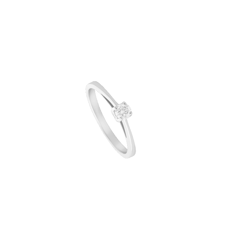 4437104055.png