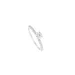 4437107094.png