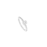 4437265864.png