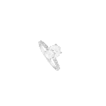 4462563054.png