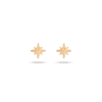 Daily Dazzle Star Summer Gold Earrings