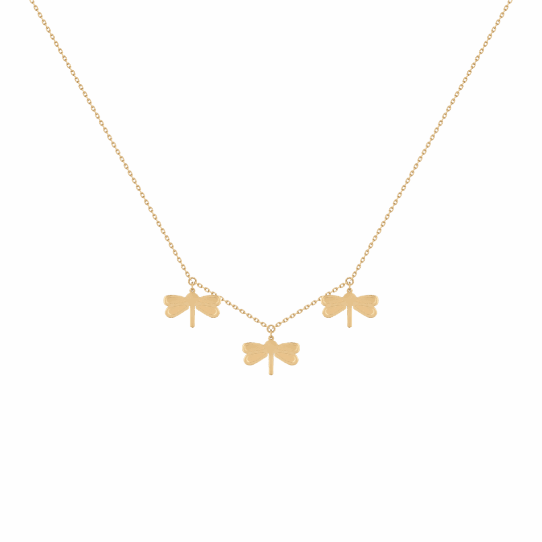 4556121183.png
