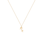 Zodiac Sagittarius Gold Necklace
