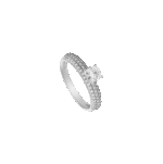 4556278062.png
