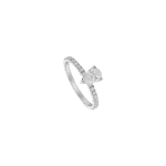 4556278114.png