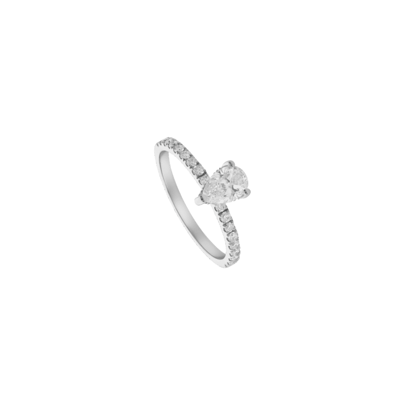 4556278114.png