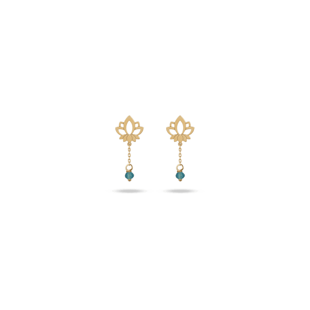4557848719.png