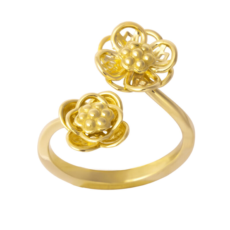 FGRFLW8090AG1020P000Y (2)